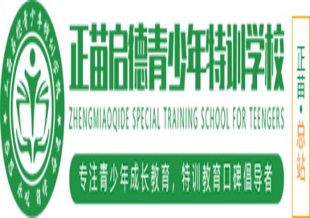 山东排名好的专门管教叛逆期小孩的特训学校十大top排行榜